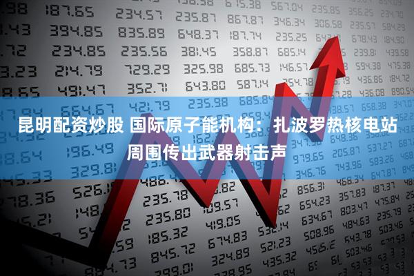 昆明配资炒股 国际原子能机构：扎波罗热核电站周围传出武器射击声
